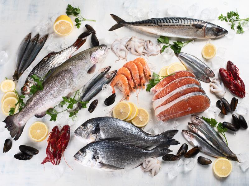 Where Can I Get a Variety of Dishes Serving Fresh Fish Near Me? - Brine ...