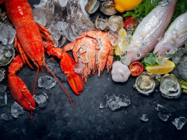 5 Ways to Experience the Best Shellfish and Fish