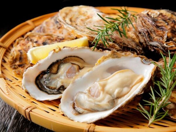 Oysters for Dinner: What Makes Them So Popular?